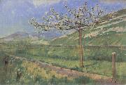 Ferdinand Hodler Apple tree in Blossom Germany oil painting artist